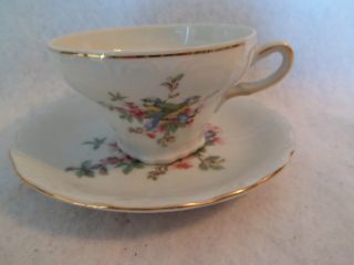 Vintage Inarco Delicate Tea Cup And Saucer. . .  Bird Design. . photo