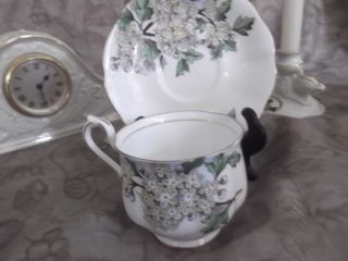 Royal Albert Hawthorn Flower Of The Month Hp Tea Cup And Saucer 5 photo