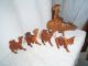 Vintage Camels W Doneys Carved Wood Wooden Oriental Oxen Water Buffalo Man Bonus Carved Figures photo 1
