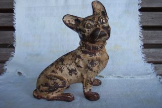 Vintage Cast Iron Dulldog photo