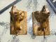 Antique Cast Iron Lion Bookends Metalware photo 1