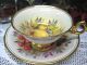 Royal Chelsea Signed Tea Cup And Saucer Duo Awesome Cups & Saucers photo 3