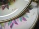 Royal Chelsea Signed Tea Cup And Saucer Duo Awesome Cups & Saucers photo 6