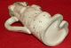 Antique - A White Begging Spaniel Gilted Jug/pitcher - Staffordshire Style Other photo 2