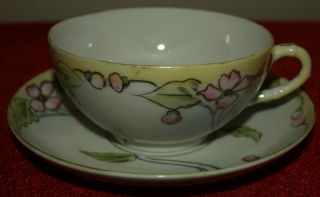 Vintage Rare & Beautifully Hand Painted Japan Tea Cup Saucer Raised Gold Accent photo