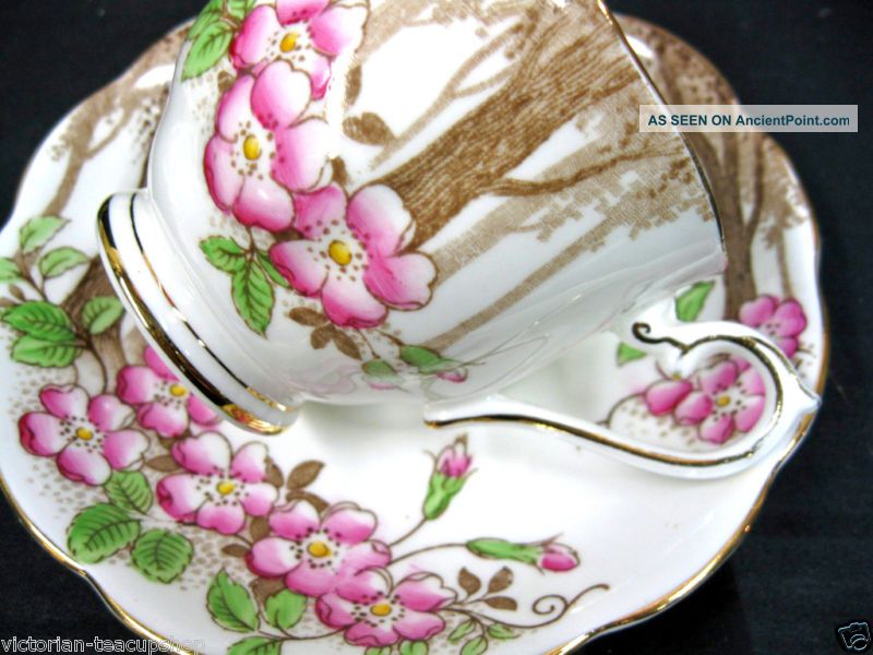 Royal Albert Trees & Blossoms Hand Painted Tea Cup And Saucer Cups & Saucers photo