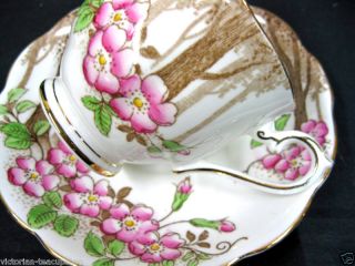 Royal Albert Trees & Blossoms Hand Painted Tea Cup And Saucer photo