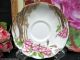 Royal Albert Trees & Blossoms Hand Painted Tea Cup And Saucer Cups & Saucers photo 2