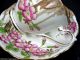Royal Albert Trees & Blossoms Hand Painted Tea Cup And Saucer Cups & Saucers photo 7
