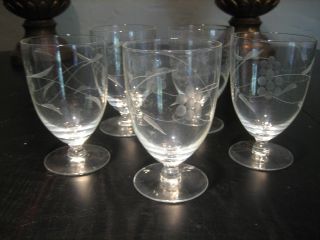 5 Antique Etched Footed Water Goblets Glasses 5 