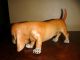 Dashund Dog Triade Benacchio - Porcelain Figurine Anchor Mark Figurines photo 1