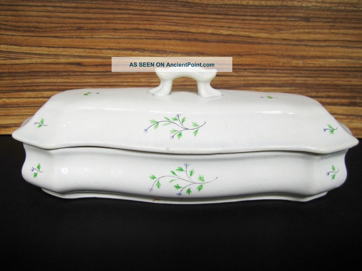 Rare Antique Sprigware Covered Condiment 1830 1850 Staffordshire Wonderful Other photo