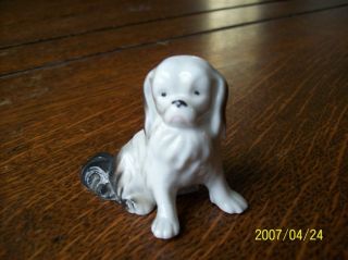 Antique Porcelain Germany Sweet Japanese Spaniel Chin Dog Pekingese Numbered photo