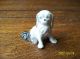 Antique Porcelain Germany Sweet Japanese Spaniel Chin Dog Pekingese Numbered Figurines photo 3