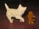 Vintage American Folk Art Miniature Wood Carving Set Of One Cat And Two Birds Carved Figures photo 4