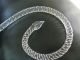 Victorian Blown Crystal Glass Epergne Lily Cane Basket Holder Trumpet Vase Part Other photo 1