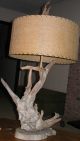 Driftwood Lamp Lamps photo 2