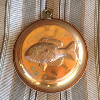 Copper Piranha Tray. .  Has Loop For Hanging And Display. photo