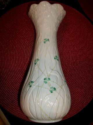 Belleek Daisy Tall Vase photo