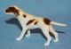 Vintage Porcelain Ceramic Pottery Pretty Miniature Pointer Dog Figurine Figurines photo 2