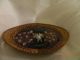Vintage Sea Shells Sea Life Victorian Wicker Under Glass Tray Collectible Trays photo 1