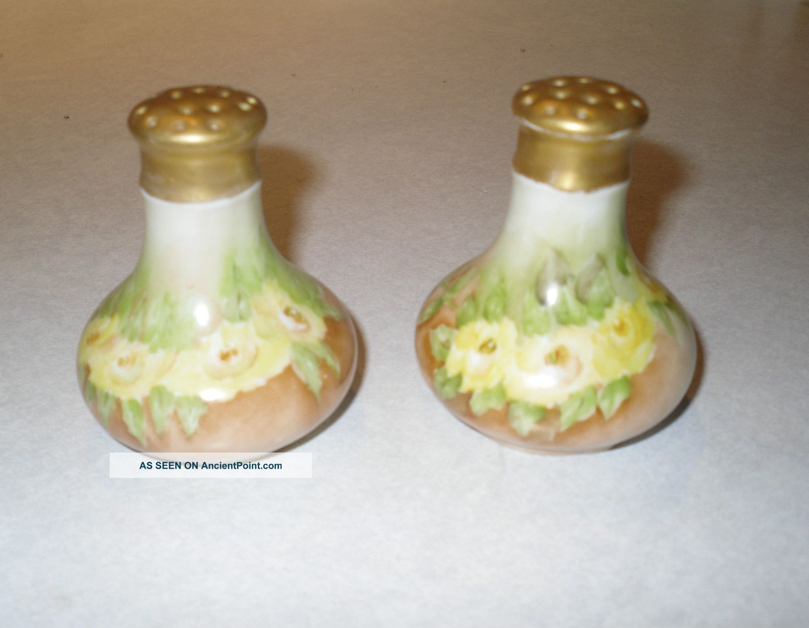 Antique Bavaria Hand - Painted Yellow Roses Porcelain Salt & Pepper Shaker Set Salt & Pepper Shakers photo