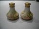 Antique Bavaria Hand - Painted Yellow Roses Porcelain Salt & Pepper Shaker Set Salt & Pepper Shakers photo 2