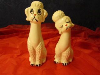 Vintage Ceramic Anthropomorphic Dog Poodles Salt & Pepper Shaker Japan Lot photo