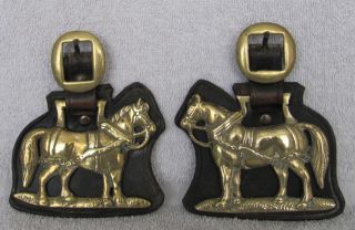2 Antique English Horsebrass On Leather Strap Working Horse photo