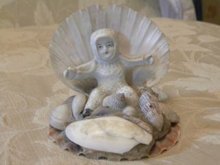 Antique Old German Bisque Snow Baby In Seashell photo