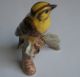 1963 Goebel Porcelain Bird On A Branch Leaves Cv 63 Figurine W.  Germany 3.  5 