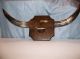 Rare Vintage Majestic Mounted Bull Horns With Hoof And Fur Other photo 2