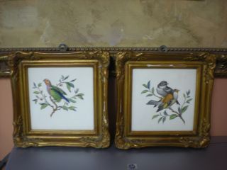 Authentic Antique Rare Fine Porcelain,  2 Framed Birds Painting,  Germany photo