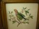 Authentic Antique Rare Fine Porcelain,  2 Framed Birds Painting,  Germany Other photo 1