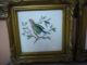 Authentic Antique Rare Fine Porcelain,  2 Framed Birds Painting,  Germany Other photo 3