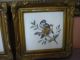 Authentic Antique Rare Fine Porcelain,  2 Framed Birds Painting,  Germany Other photo 4