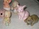 22 Figurines Porcelain Ceramic Handgemalt Japan Animals Children Pig Hallmarked Figurines photo 6