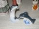 22 Figurines Porcelain Ceramic Handgemalt Japan Animals Children Pig Hallmarked Figurines photo 8