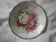 Tea Cup + Saucer Lady Sylvia Queen Anne Fine Bone China Holland Roses Pink White Cups & Saucers photo 6