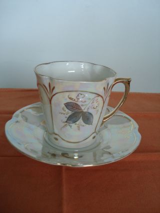 Antique Huttensteinach Cup And Saucer photo