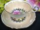 Paragon Flowered Mums Tea Cup And Saucer Duo Peach Center Cups & Saucers photo 4