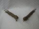 Antique Pair Of Pheasants Male & Female.  Lenght 12 Inches. . Metalware photo 3