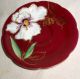 60yr Hp Trimont Occupied Japan Ruby Red & Gold Scallop Floral Cup & Saucer Vgc Cups & Saucers photo 1