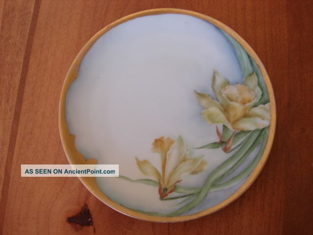 Rs Germany Schlegelmilch 7 
