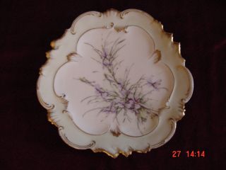 Limoges France Handpainted Floral Plate photo