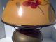 Antique Miller New Vestal Converted Oil Lamp W Orange Floral Glass Shade - Works Lamps photo 8