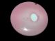 Antique Bristol Pink Milk Glass Cased Vase Multi - Color Flowers Vases photo 6