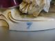 German Dresden Volkstedt Romantic Couple With Dog Porcelain Lace Figure Figurine Figurines photo 10