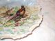 Hand Painted Pheasant Plate 8 1/2  X 8 1/2  Signed By Louise Fernandez No Chip Plates & Chargers photo 1