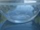 Pair Of Hand Blown & Etched Early 1900s Finger Bowls Bowls photo 3
